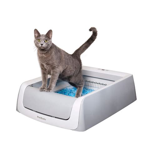 self cleaning litter boxes for cats